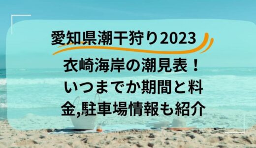 愛知県潮干狩り2023衣崎海岸の潮見表！いつまでか期間と料金,駐車場情報も紹介
