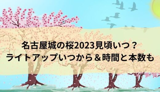 名古屋城の桜2023見頃いつ？ライトアップいつから＆時間と本数も