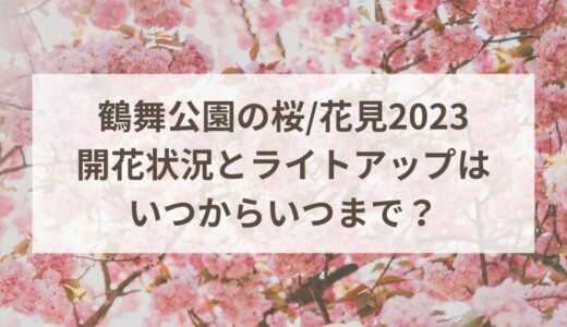 鶴舞公園の桜/花見2023開花状況とライトアップはいつからいつまで？